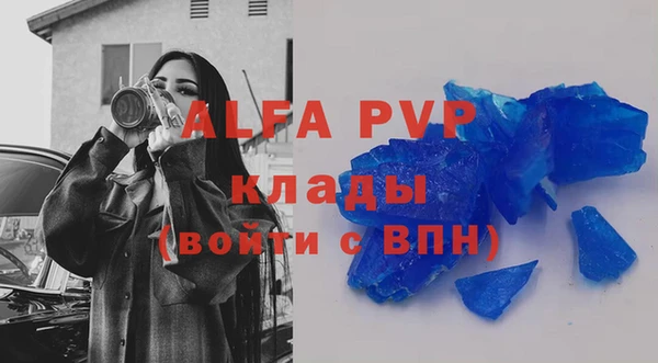 сатива Липки