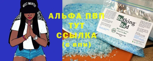 гашик Лабытнанги