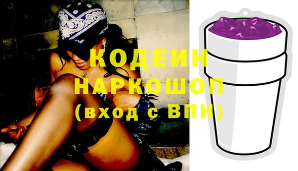 гашик Лабытнанги