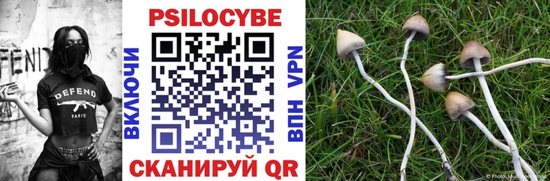 Галлюциногенные грибы Psilocybe  Спас-Деменск 